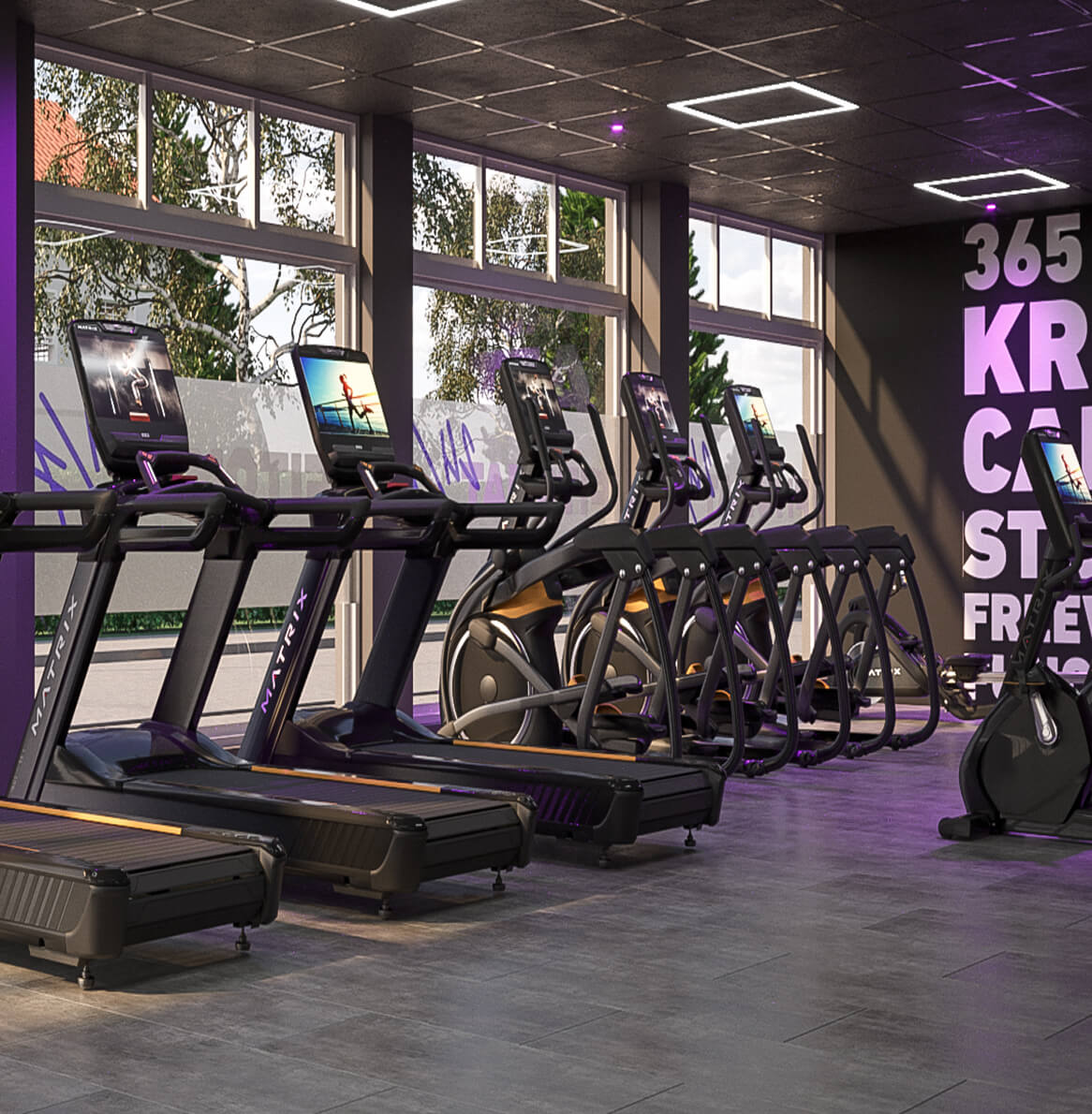 Cardiobereich mit Laufbändern und Crosstrainern im FITOMAT – Beispiel für die Studioausstattung im Franchise.